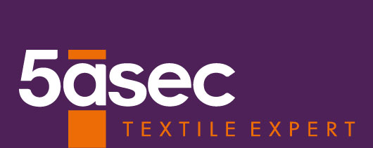 5ásec Logo